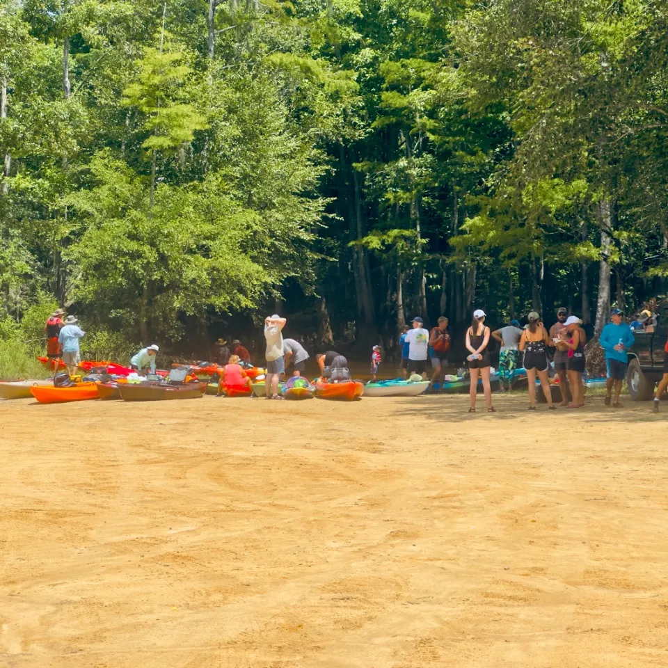 Persimmon Bluff Landing