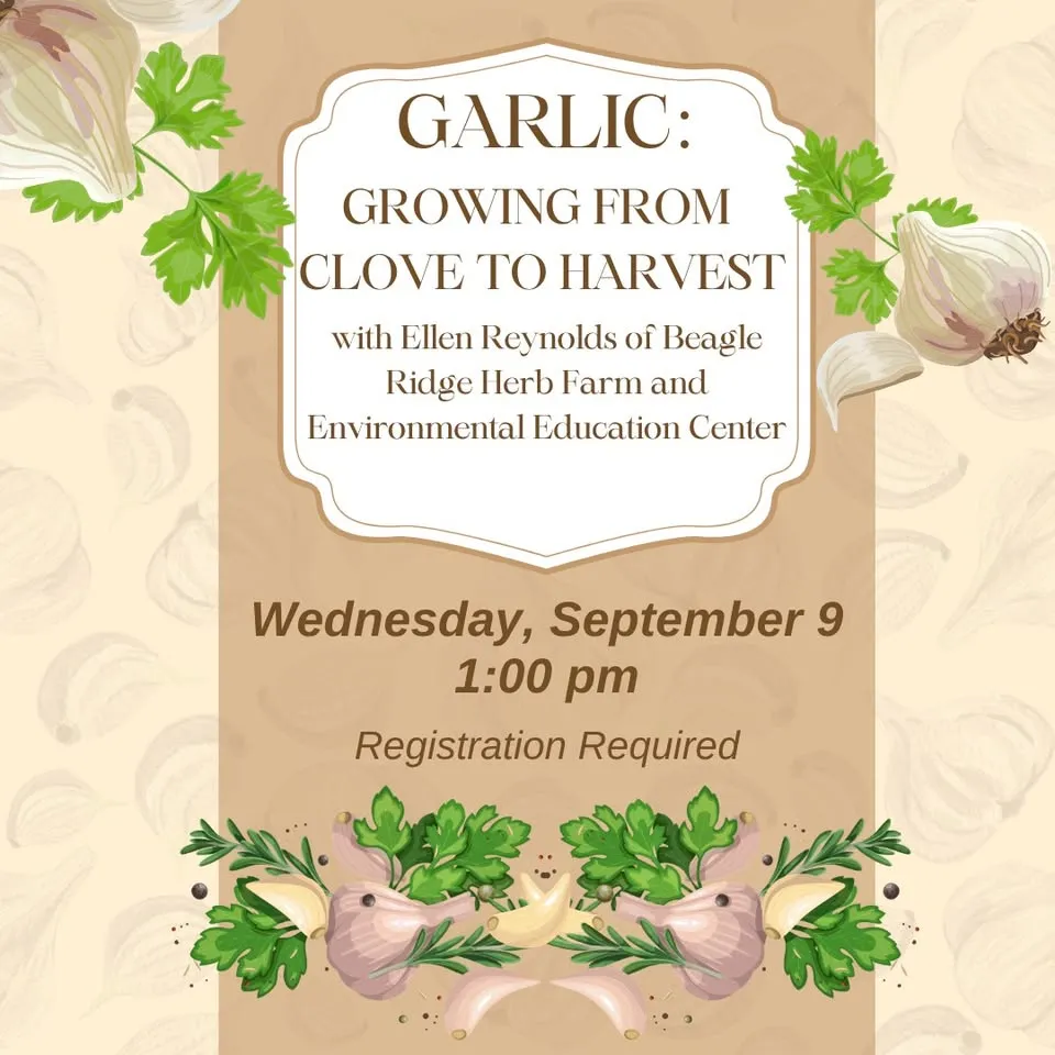 Garlic: Growing from Clove to Harvest with Ellen of Beagle Ridge Herb Farm