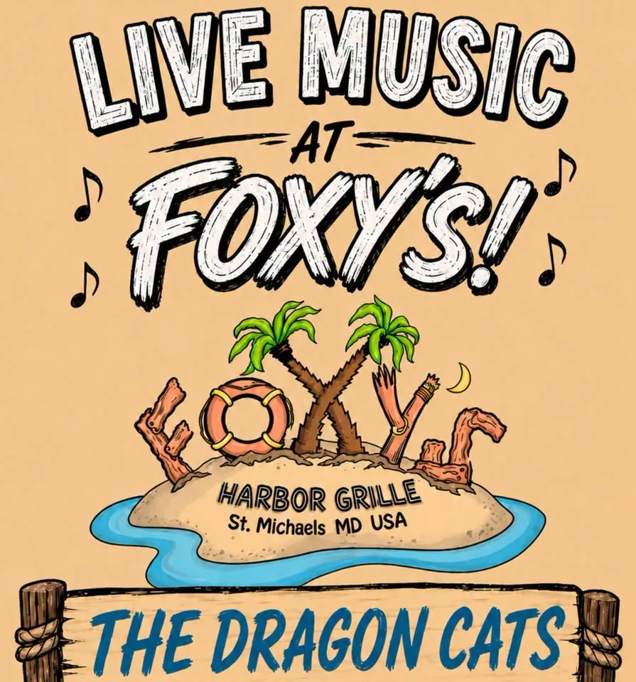 Live music on at Foxy’s! Dragon Cats! 🐈‍⬛ 🎶