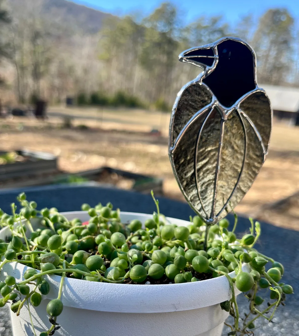 Stained Glass Beginner - Raven Plant Stake