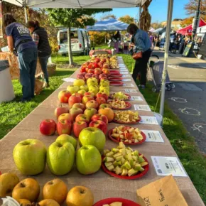 Apple Jam