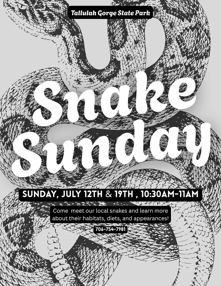 Snake Sunday