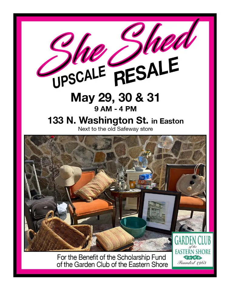 She Shed Sale