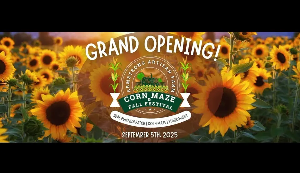 Grand Opening 2026 Corn Maze, Sunflowers and Fall Festival