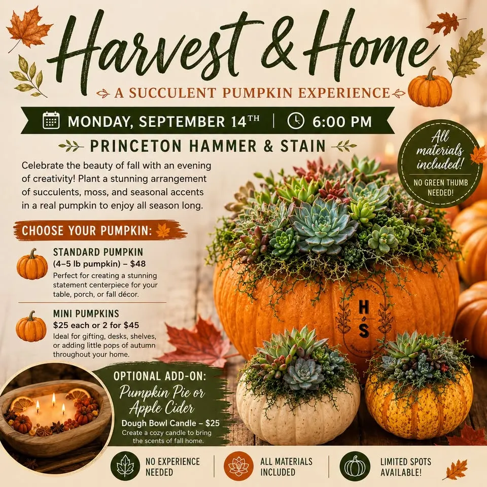 Harvest & Home: A Succulent Pumpkin Experience