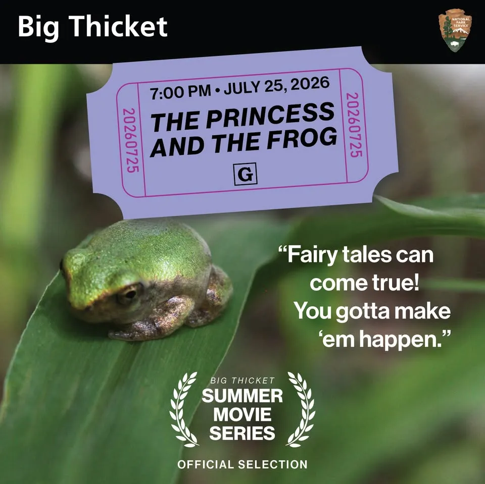 Summer Movie Series: The Princess and the Frog