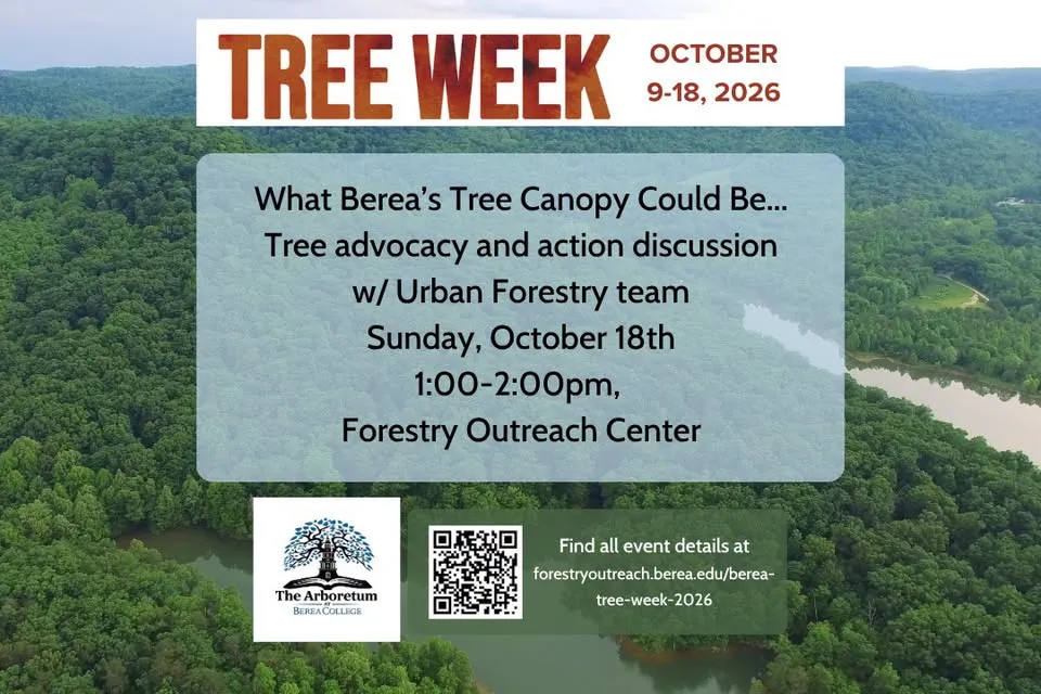 Tree Advocacy and Action Discussion