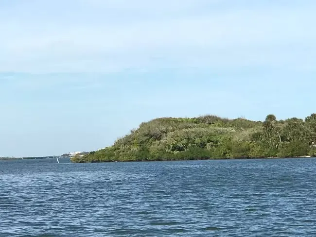 TURTLE MOUND WALK- Apollo District