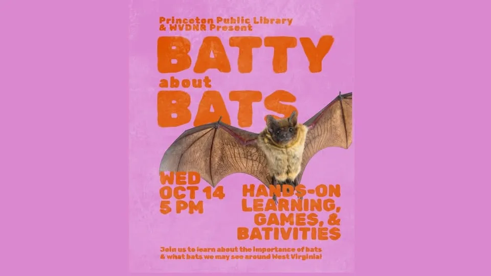 Batty About Bats!