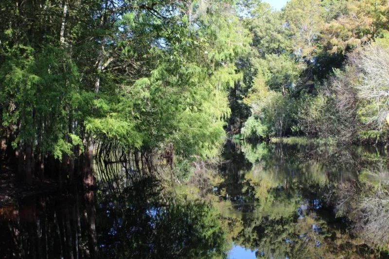 Nobleton Wayside Park