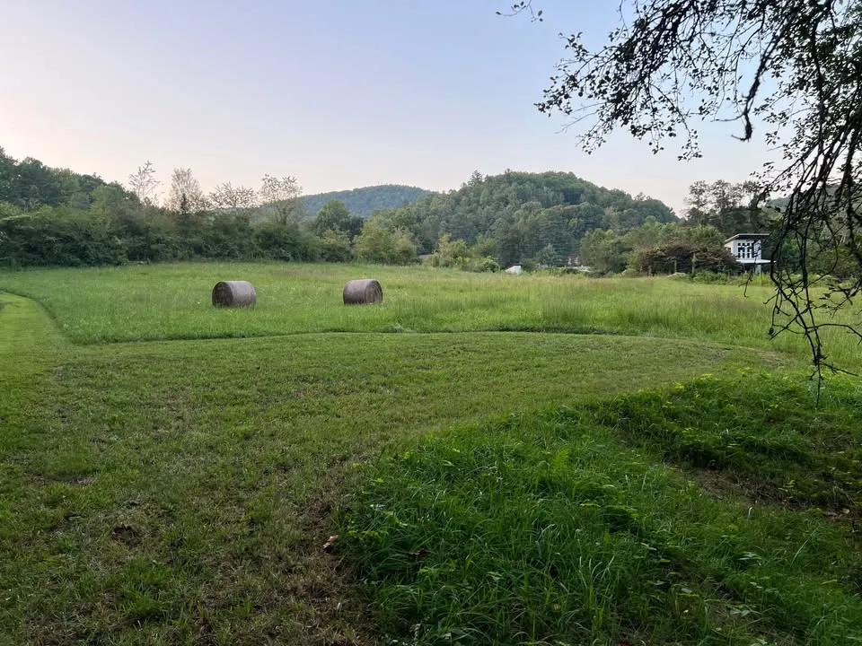 Qi Gong in the Gardens with Avril James Maynard - Apr 26, Oct 18