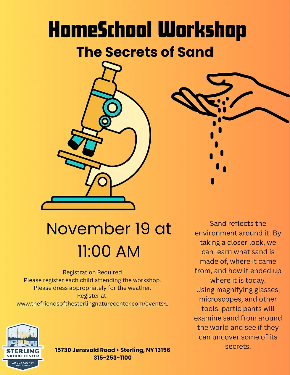 Homeschool Workshop: Secrets of Sand