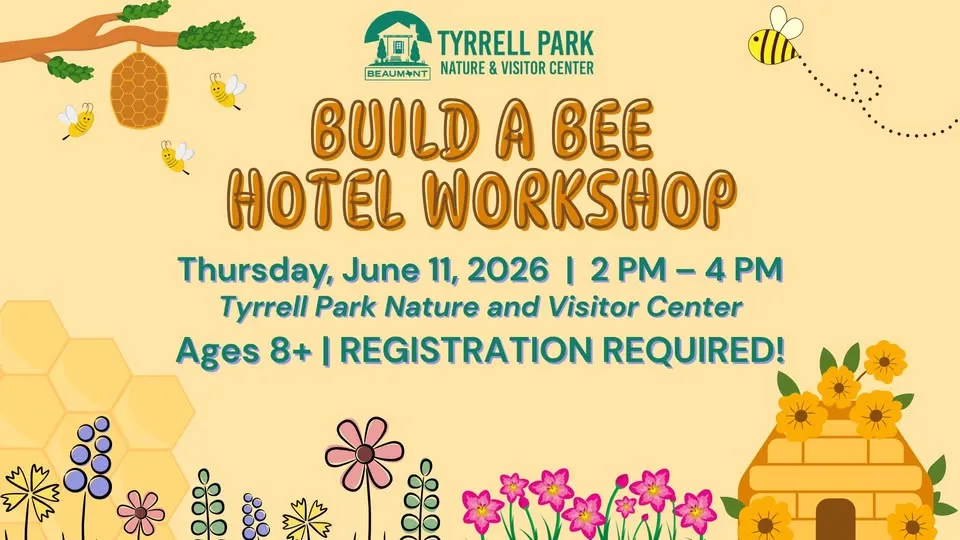 Build a Bee Hotel Workshop