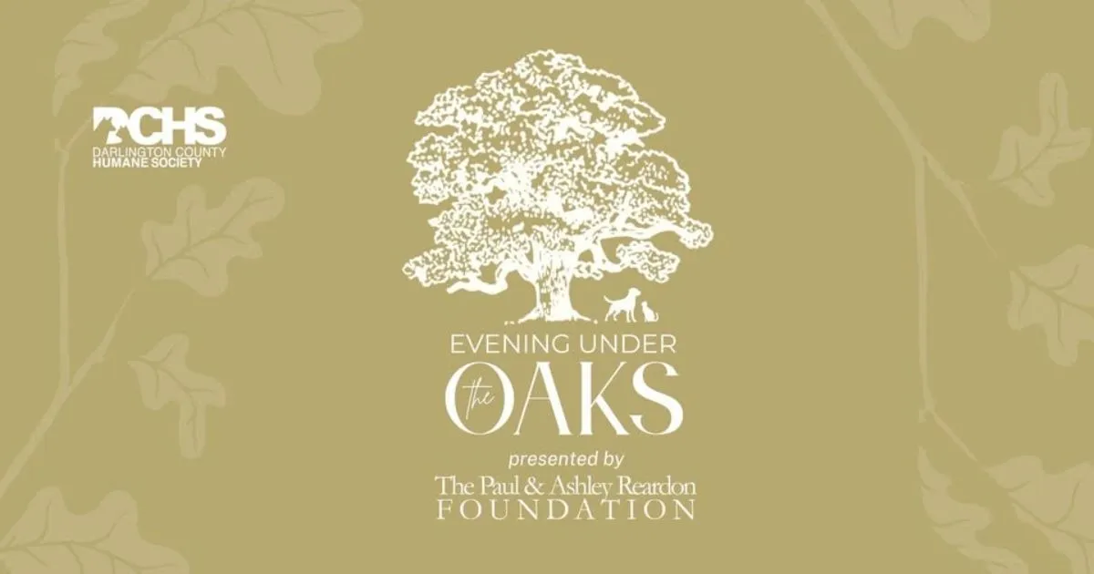 Evening Under the Oaks