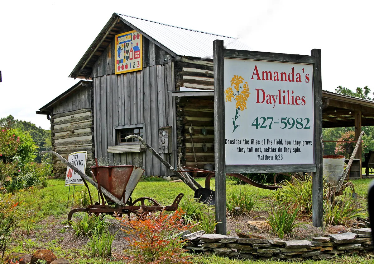 Quilt Trail Square - Amanda's Daylilies