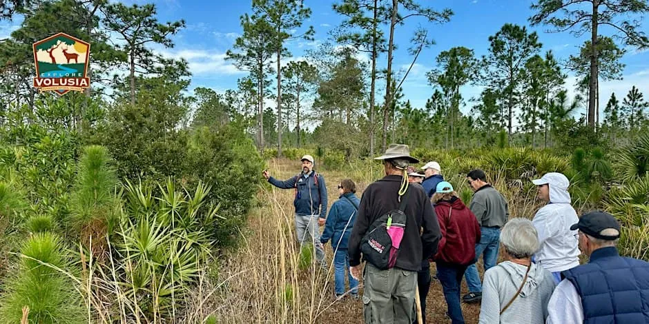 Explore Volusia: Fall Flowers Hike