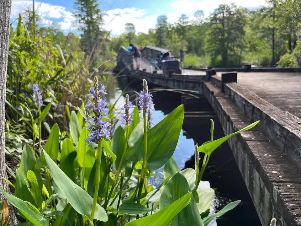Guided Nature Walk