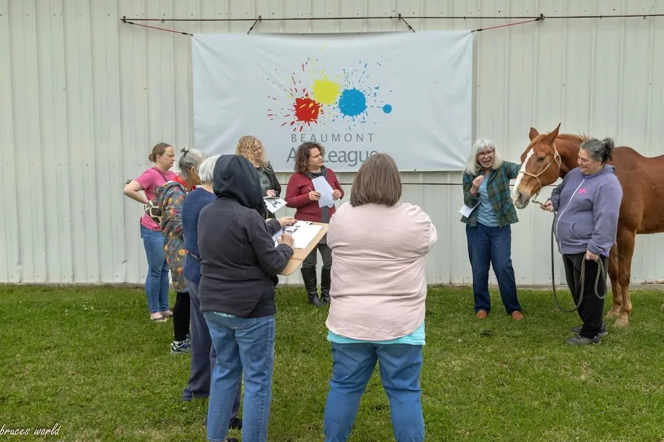 Beaumont Art League-Texas