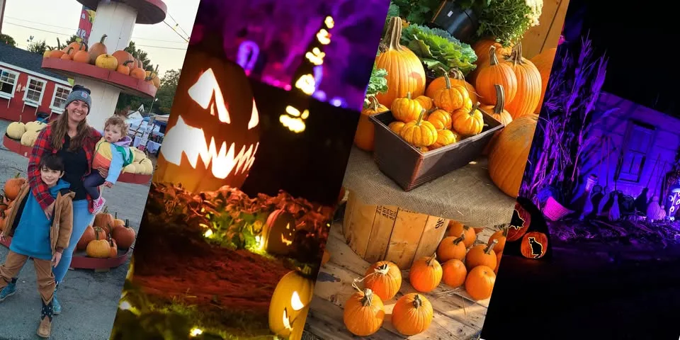 Pumpkin Party & Pumpkin Party after Dark at Dogwood Acres!