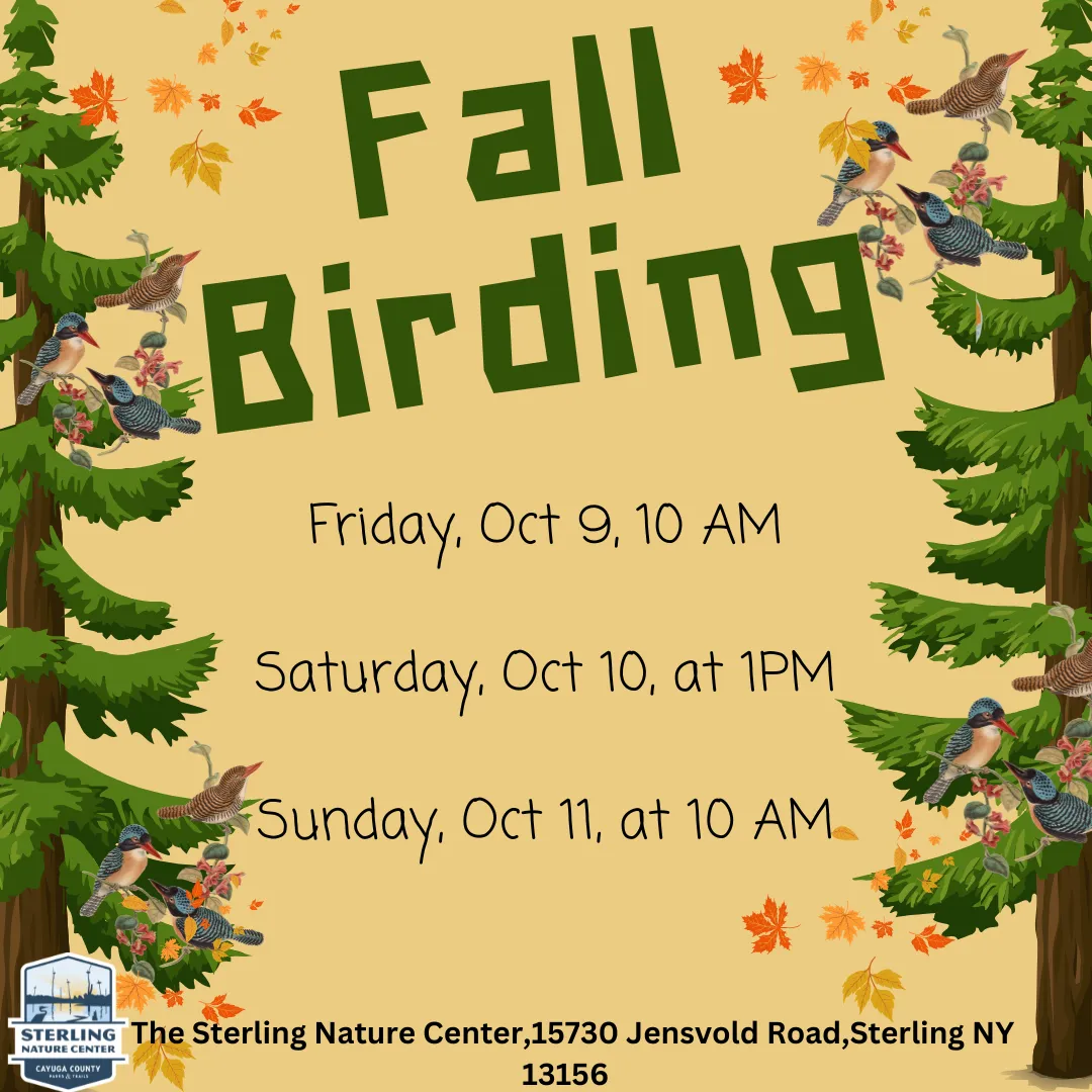 Single Event Fall Birding
