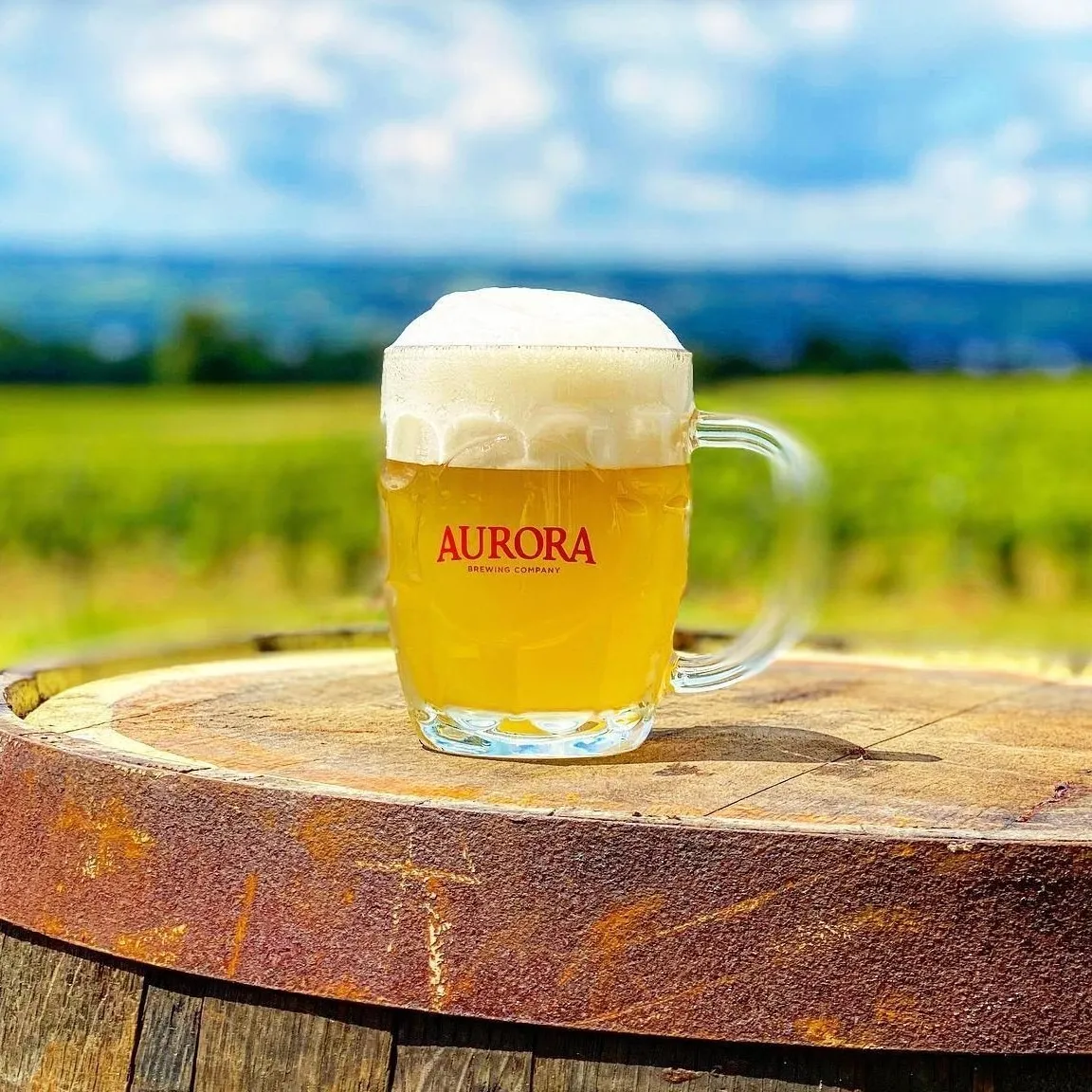 Single Event The Petty Thieves — AURORA BREWING CO