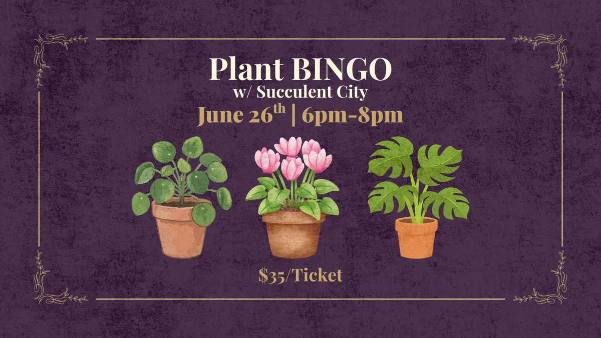 Plant Bingo w/ Succulent City