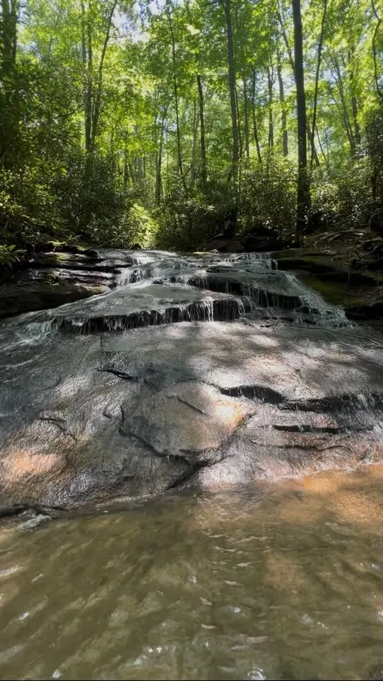 Guided Hike - Greasy Creek Falls ($5)