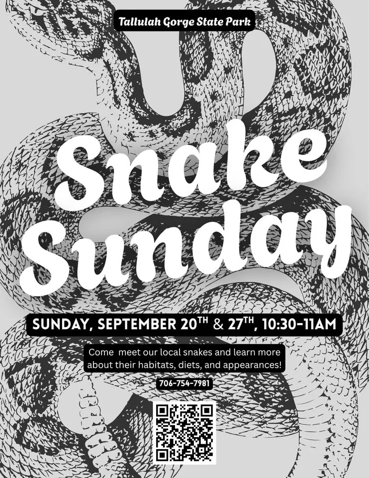 Snake Sunday