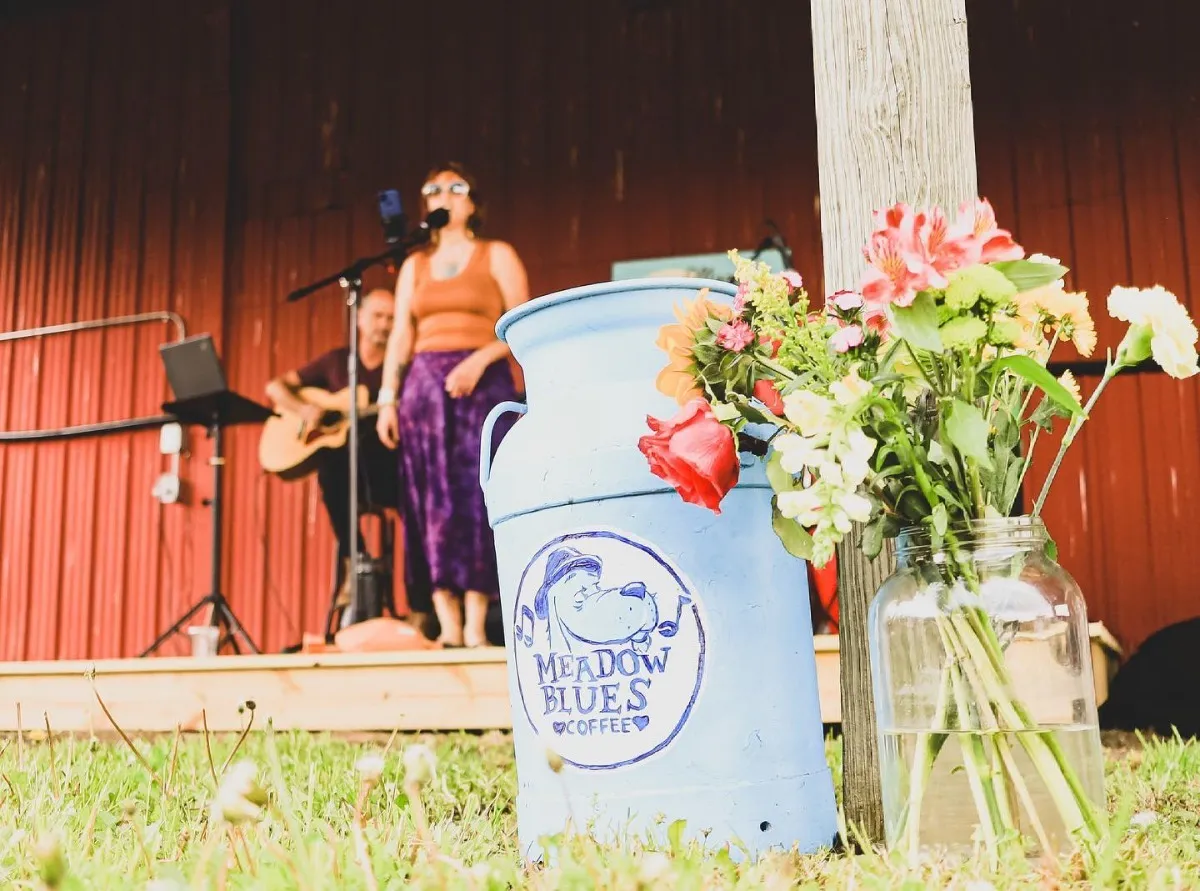 Live Music @ Meadow Blues Coffee