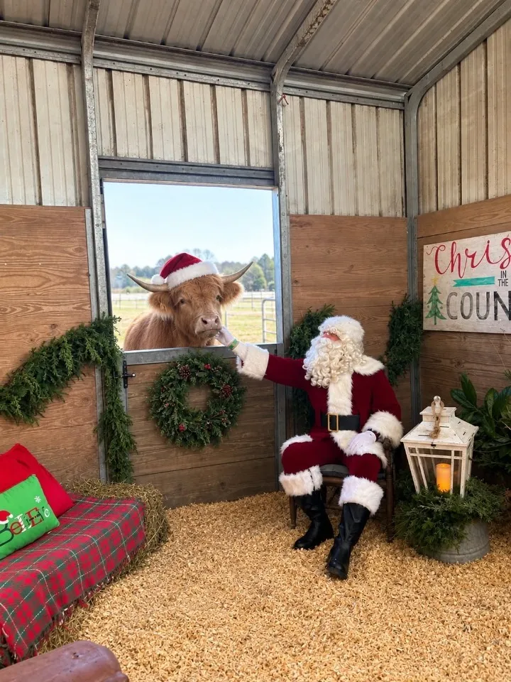 13th Annual Christmas in the Country