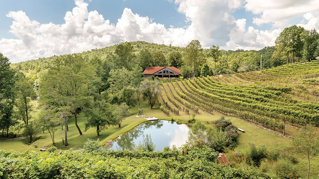 Live Music at The Vineyard at High Holly