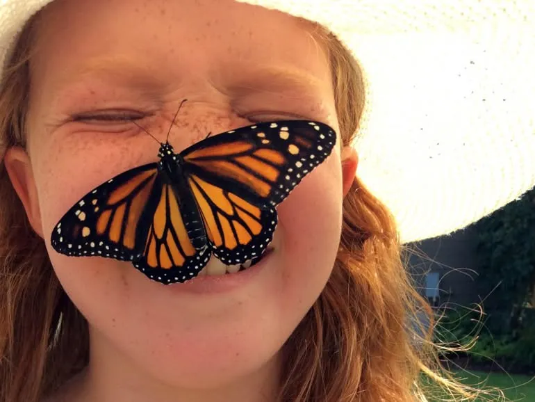 Butterfly Day