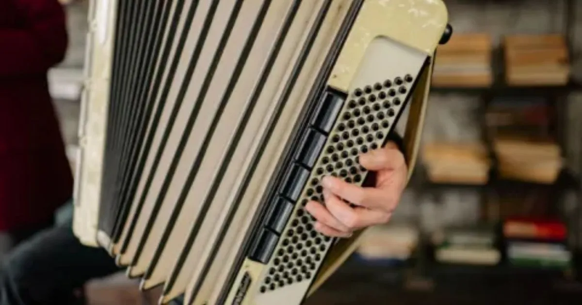 Live Accordion Concert