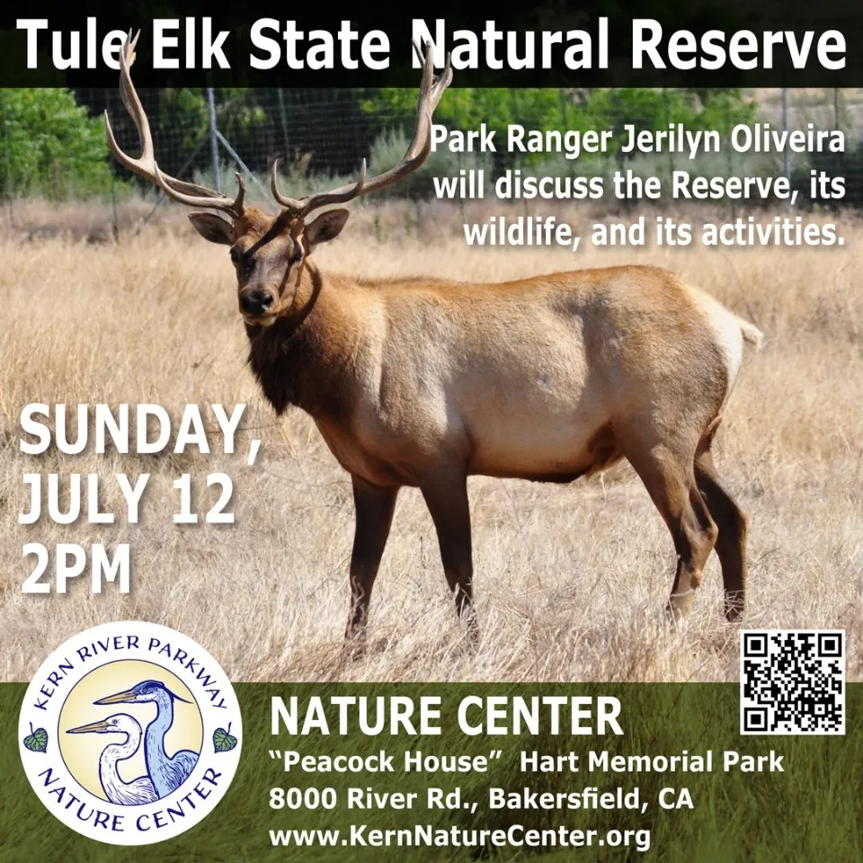Tule Elk Reserve