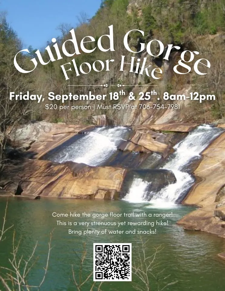 Guided Gorge Floor Hike