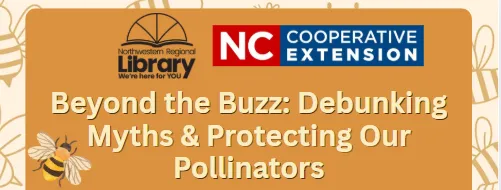 Beyond the Buzz: Debunking Myths & Protecting Our Pollinators