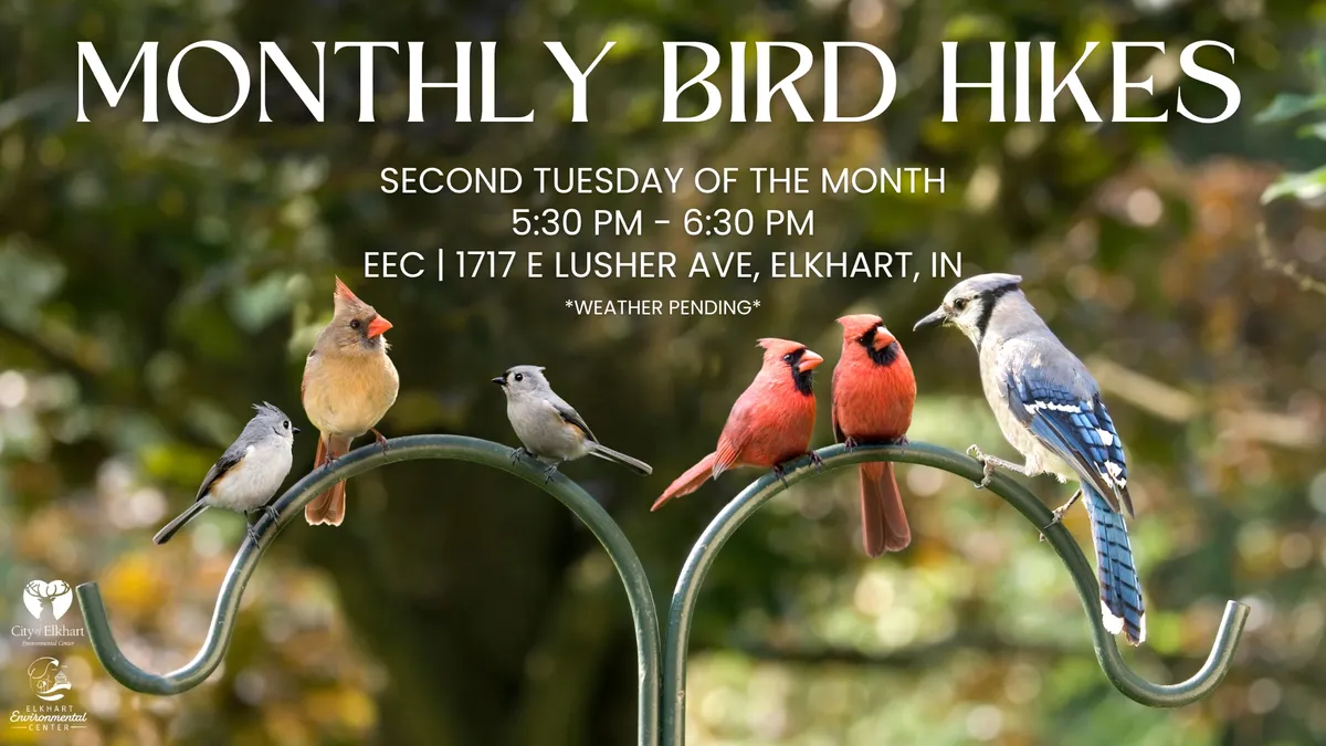 Monthly Birding Hike ~ November