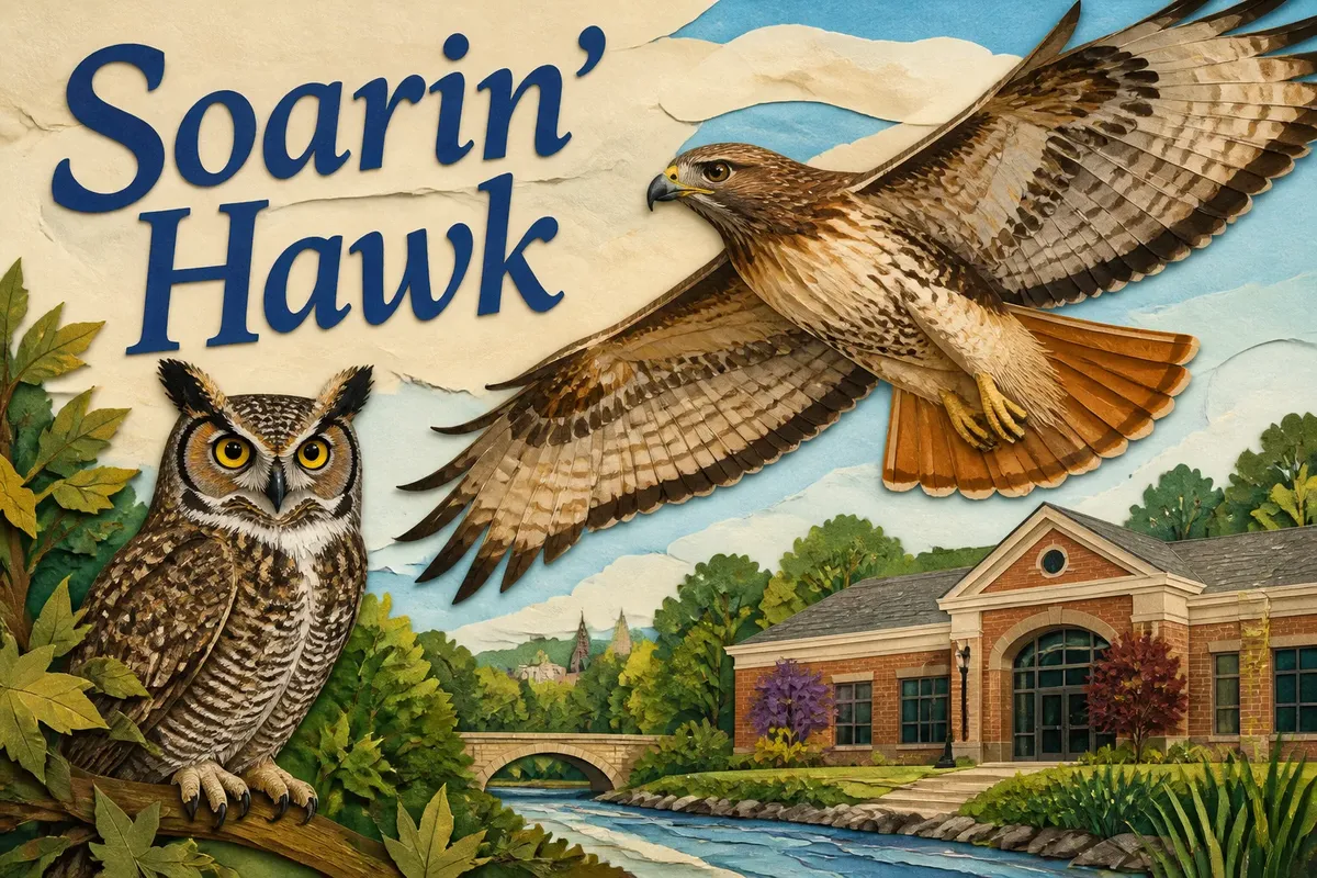 Soarin' Hawk