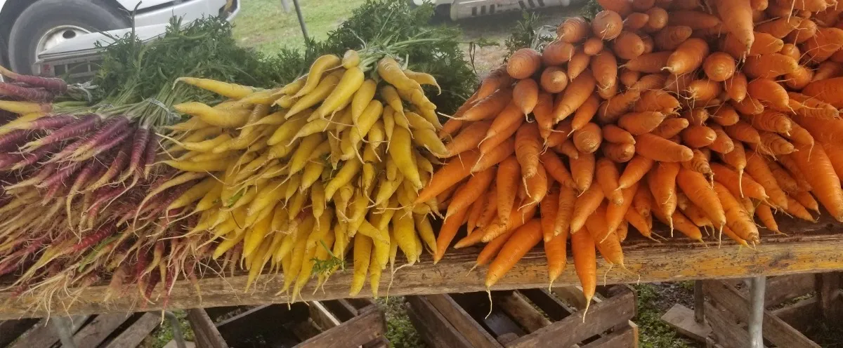 Florida Farmers Market