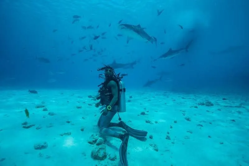Shark Stories and Wildlife Series Celebration - National Geographic LIVE