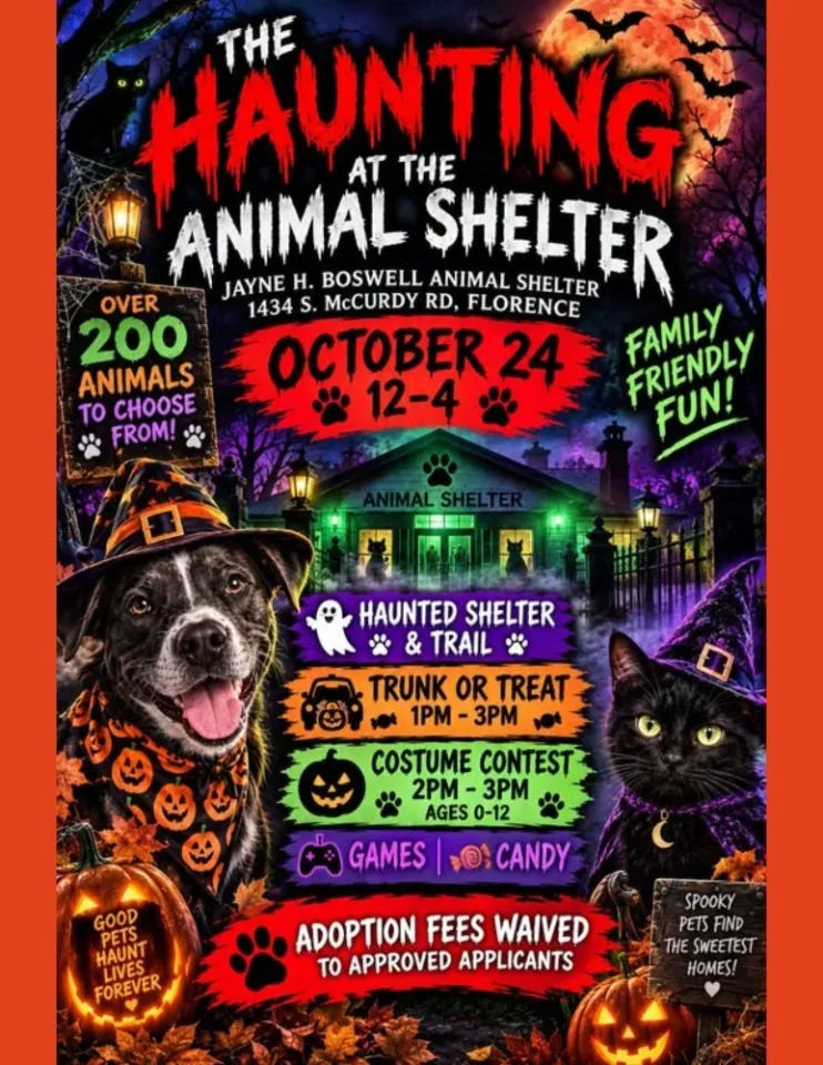 The Haunting at the Animal Shelter