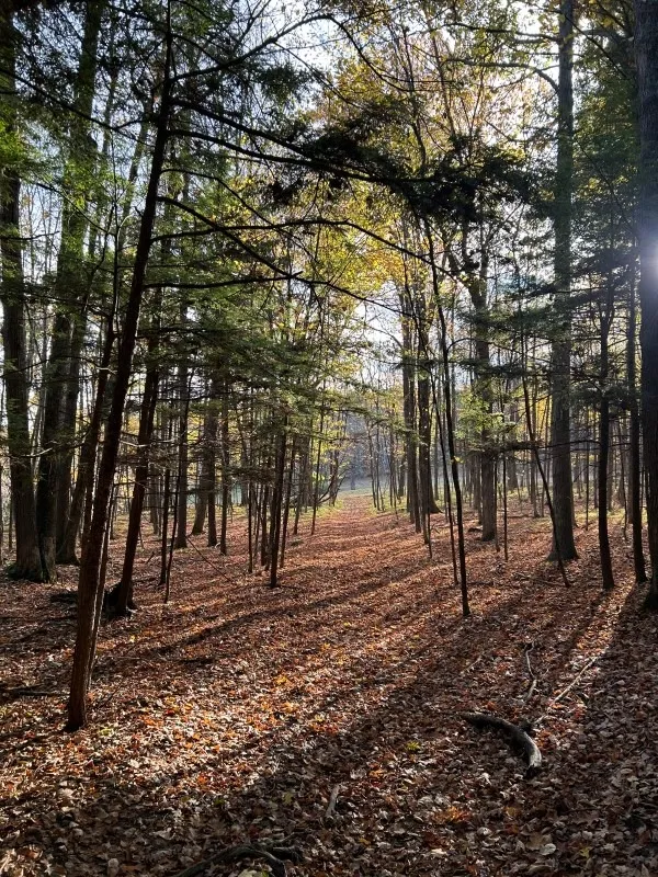 Settles Mountain Nature Preserve