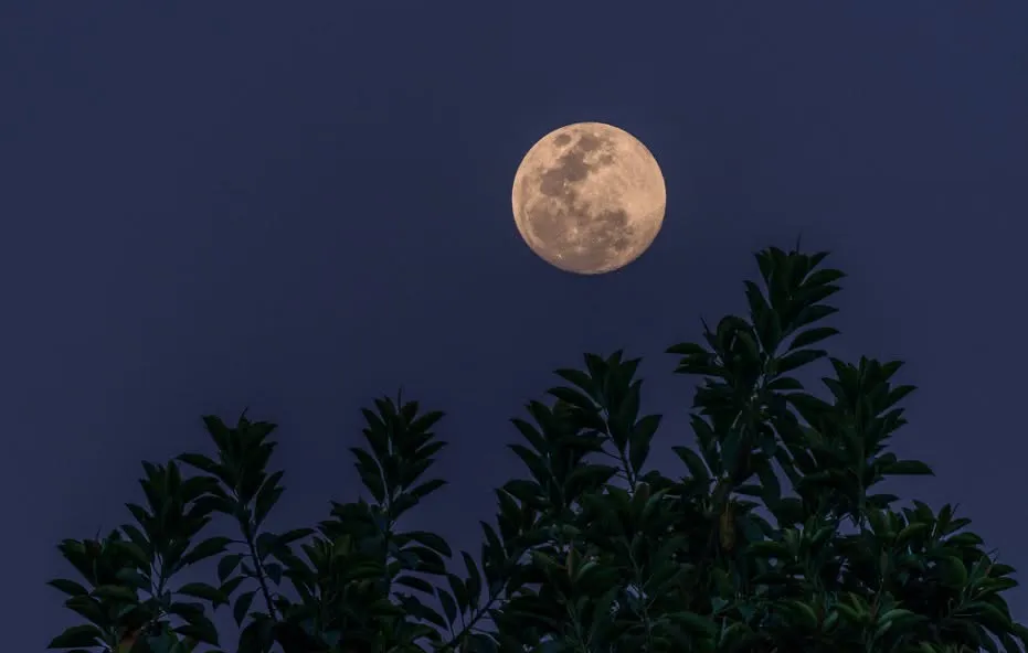 Sturgeon Full Moon Hike