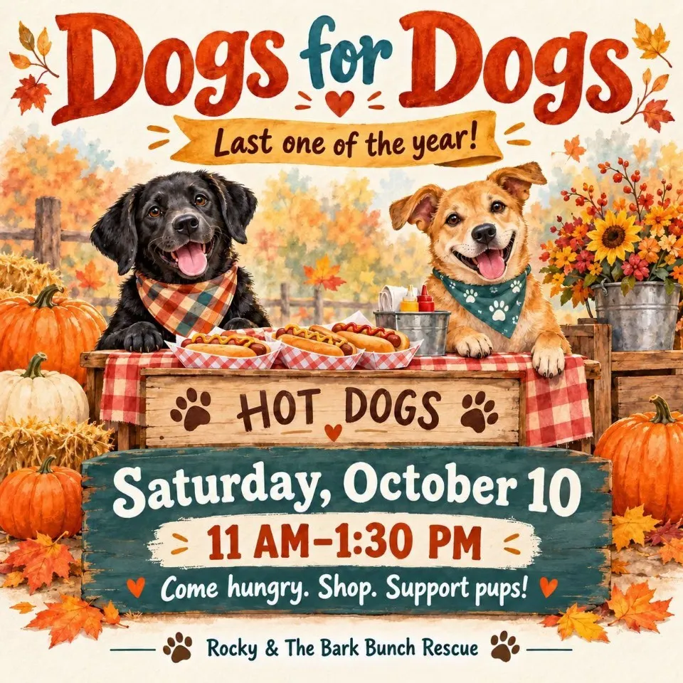 Dogs for Dogs