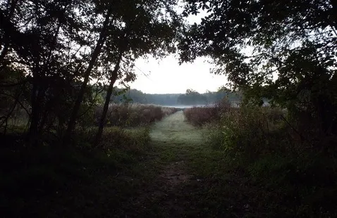 Sunrise Fall Walk
