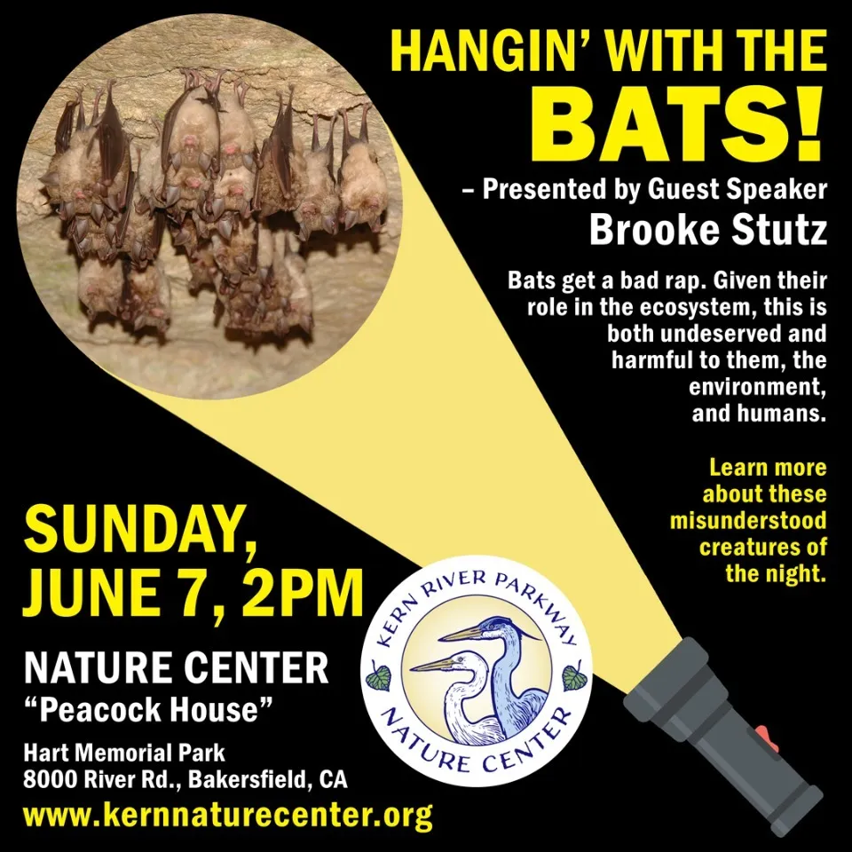 "Hangin’ with the Bats"