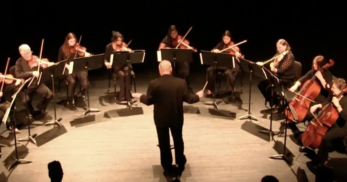 FMU String Ensemble