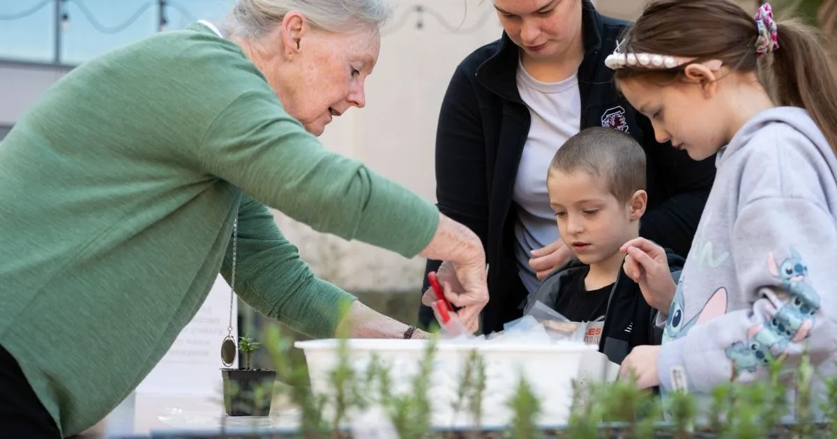Family Day - Feed & Observe the Birds