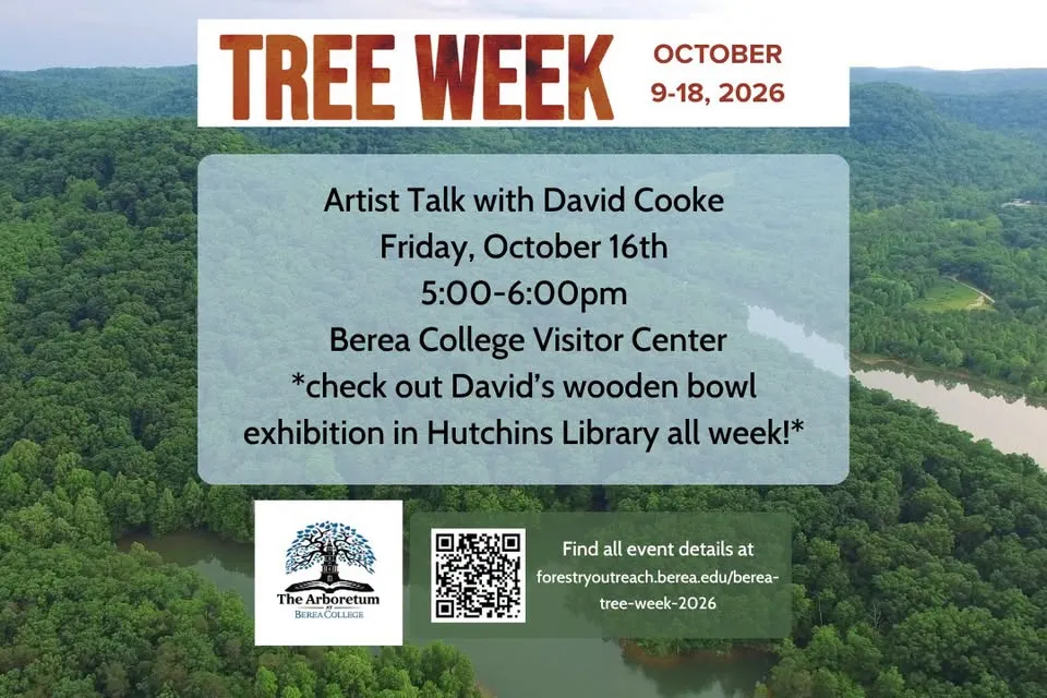 Artist Talk with David Cooke