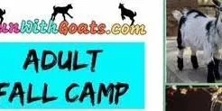 Adult Fall Day Camp Session #2
